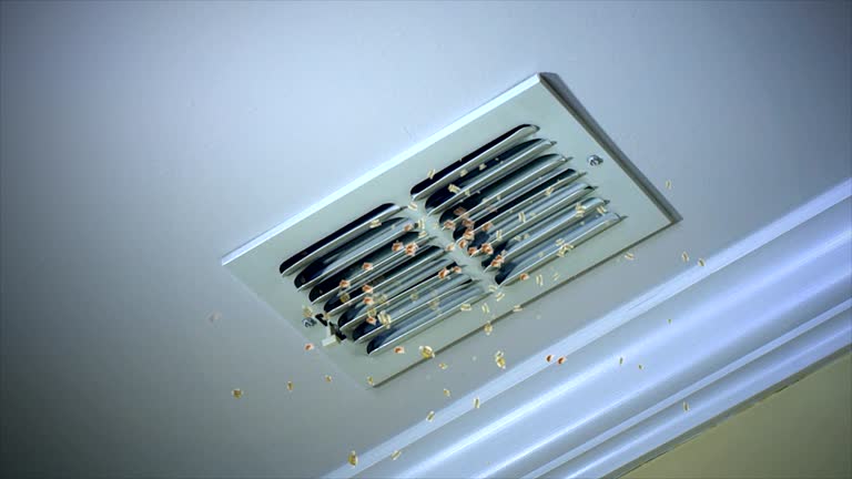 Best HVAC Duct Inspection Services  in Carrboro, NC
